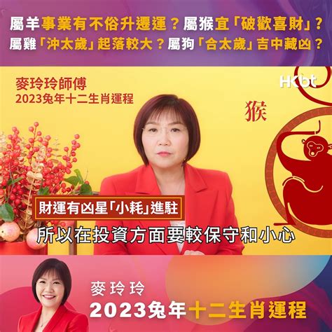 2023雞犯太歲|麥玲玲屬雞2023年運勢及運程 2023年生肖雞的人每月運程詳解